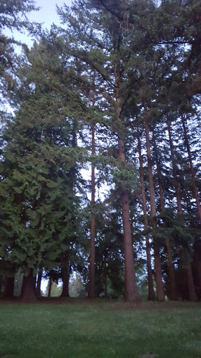 Park «Albert Kelly Park», reviews and photos, SW Dosch Rd & SW Mitchell St, Portland, OR 97239, USA