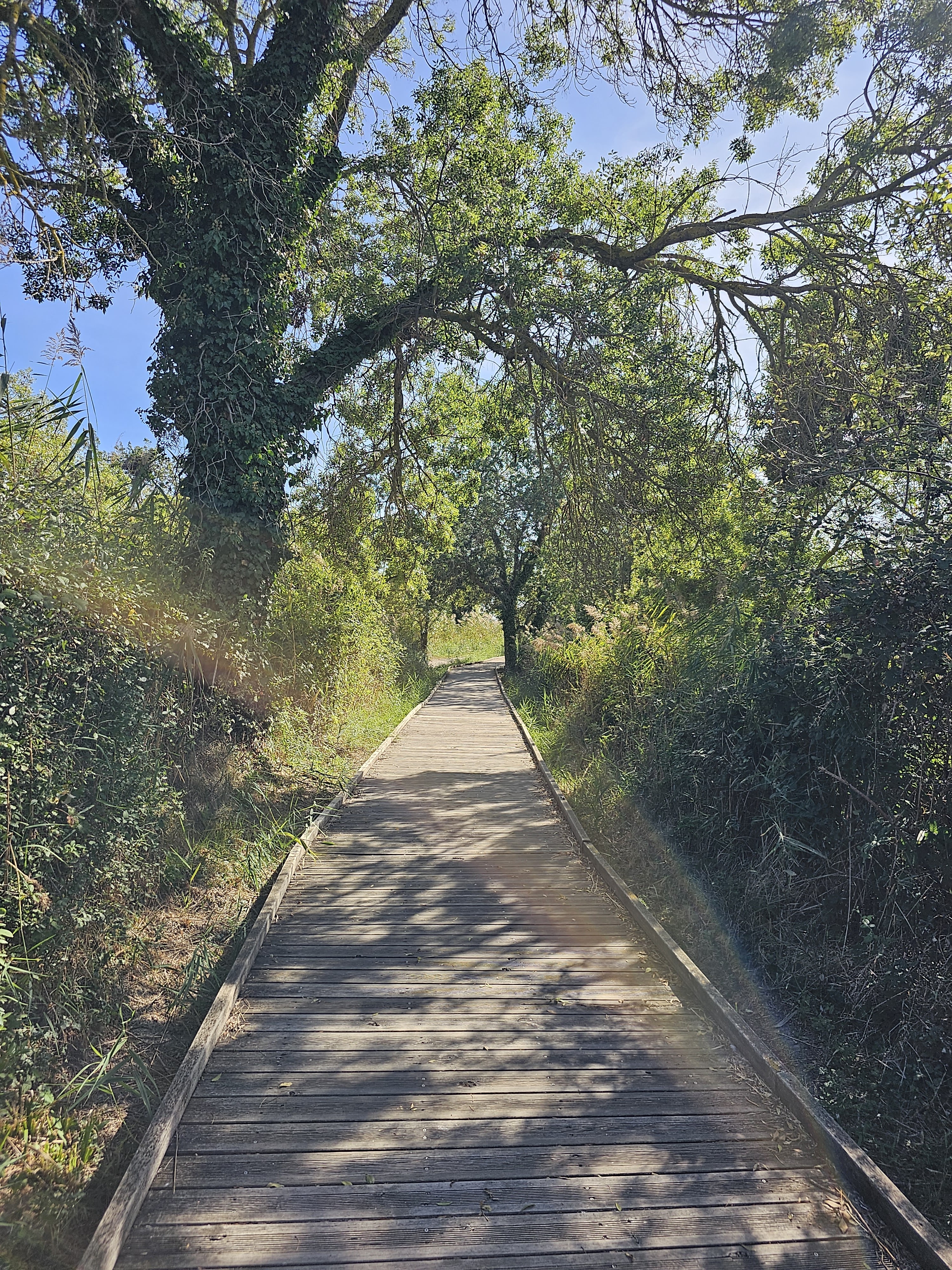 Photo n° 1 de l'avis de Marine.o fait le 06/10/2023 à 15:01