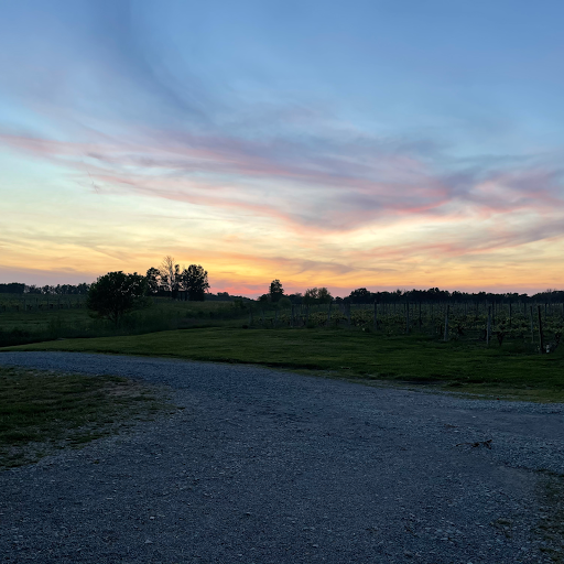 Winery «Meranda-Nixon Winery», reviews and photos, 6517 Laycock Rd, Ripley, OH 45167, USA