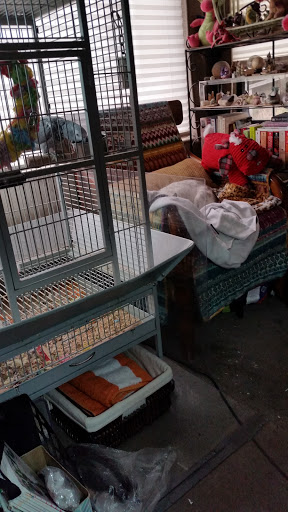 Pharmacy «Rite Aid Pharmacy», reviews and photos, 1065 NW Gilman Blvd, Issaquah, WA 98027, USA