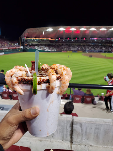 Campo de béisbol Culiacán Rosales