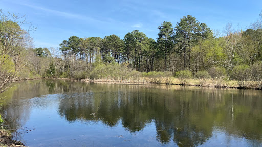 Rowands Pond Wildlife Management Area