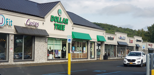 Dollar Store «Dollar Tree», reviews and photos, 791 NY-17M, Monroe, NY 10950, USA