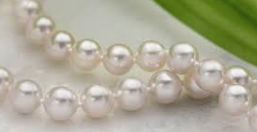 Caterer «Renaissance Catering», reviews and photos, 2300 FL-524 Suite 101, Cocoa, FL 32926, USA