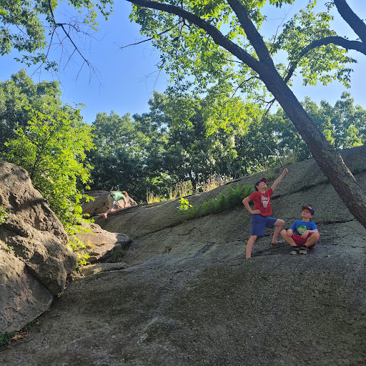 Park «Horatio Harris Park», reviews and photos, 85 Harold St, Boston, MA 02119, USA