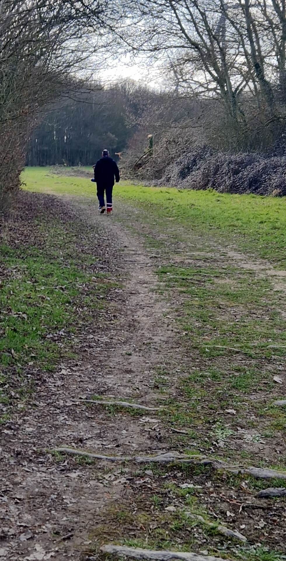 Photo n° 1 de l'avis de Vicky. fait le 04/03/2023 à 18:44