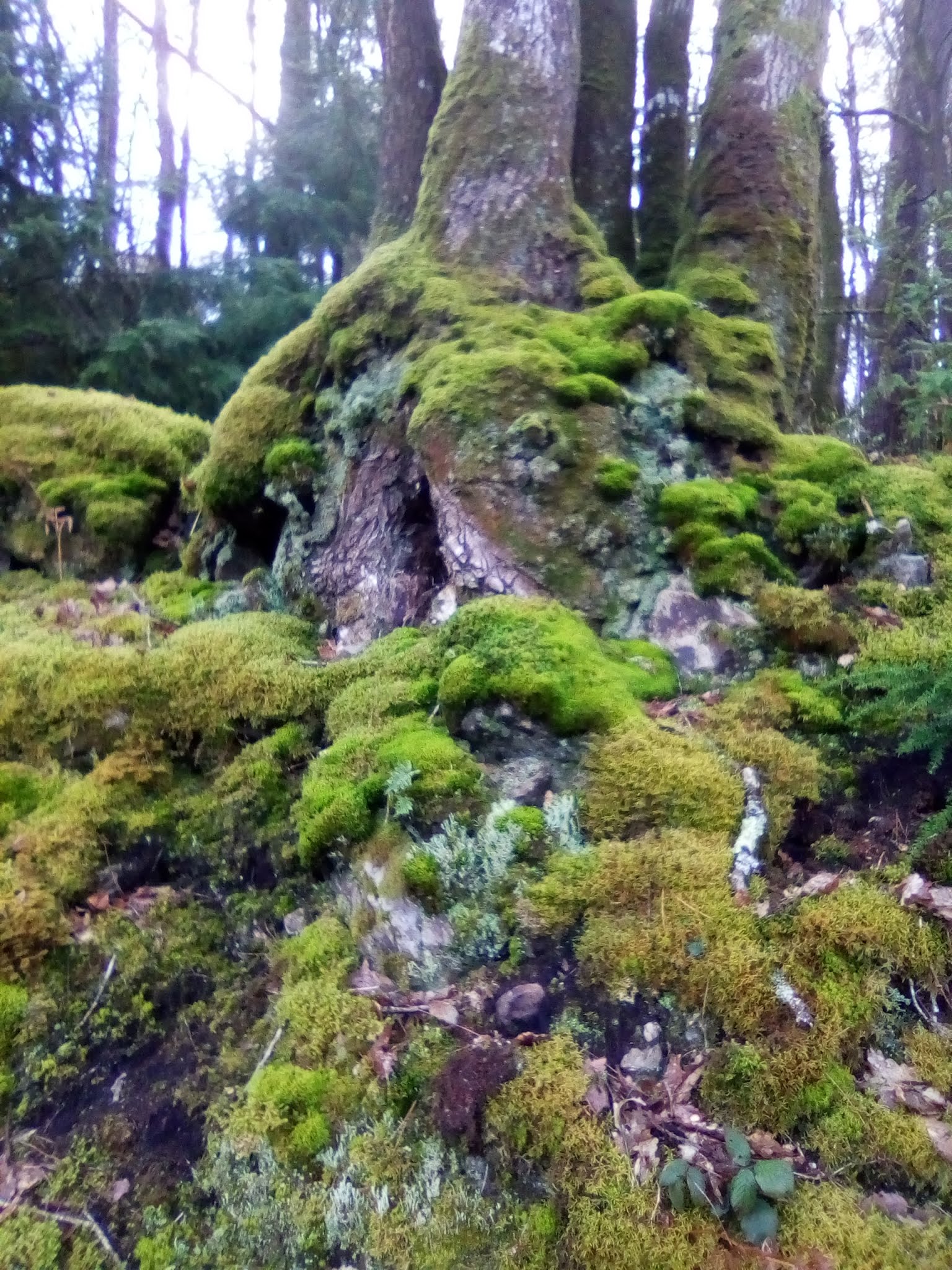 Photo n° 2 de l'avis de benoit.i fait le 14/04/2019 à 15:31