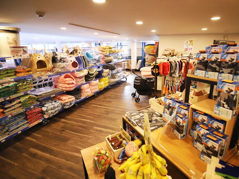 ペットショップcoo Riku 足立本店 東京都足立区鹿浜 ペットショップ グルコミ