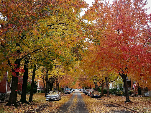 Coffee Shop «Carabello Coffee Company», reviews and photos, 107 E 9th St, Newport, KY 41071, USA