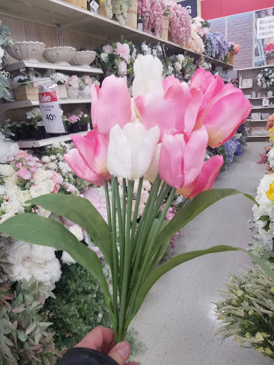 Craft Store «Michaels», reviews and photos, 4999 Houston Rd #200, Florence, KY 41042, USA