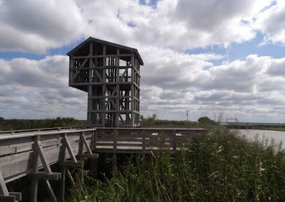 Estuaire de la Loire à Corsept