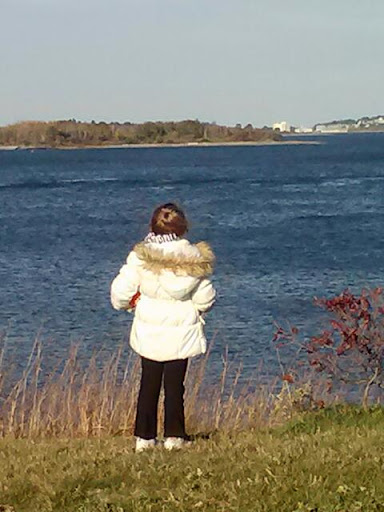 State Park «Webb Memorial State Park», reviews and photos, 371 River St, North Weymouth, MA 02191, USA