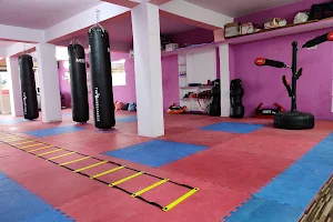 Taekwondo Sports Academy image