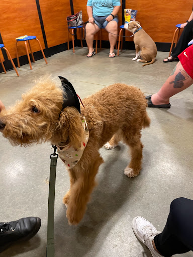 Pet Supply Store «PetSmart», reviews and photos, 601 Centerview Blvd, Kissimmee, FL 34741, USA