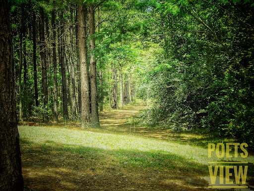 Nature Preserve «Forever Wild Trails», reviews and photos, 384 Narcisse Drive, Dothan, AL 36305, USA