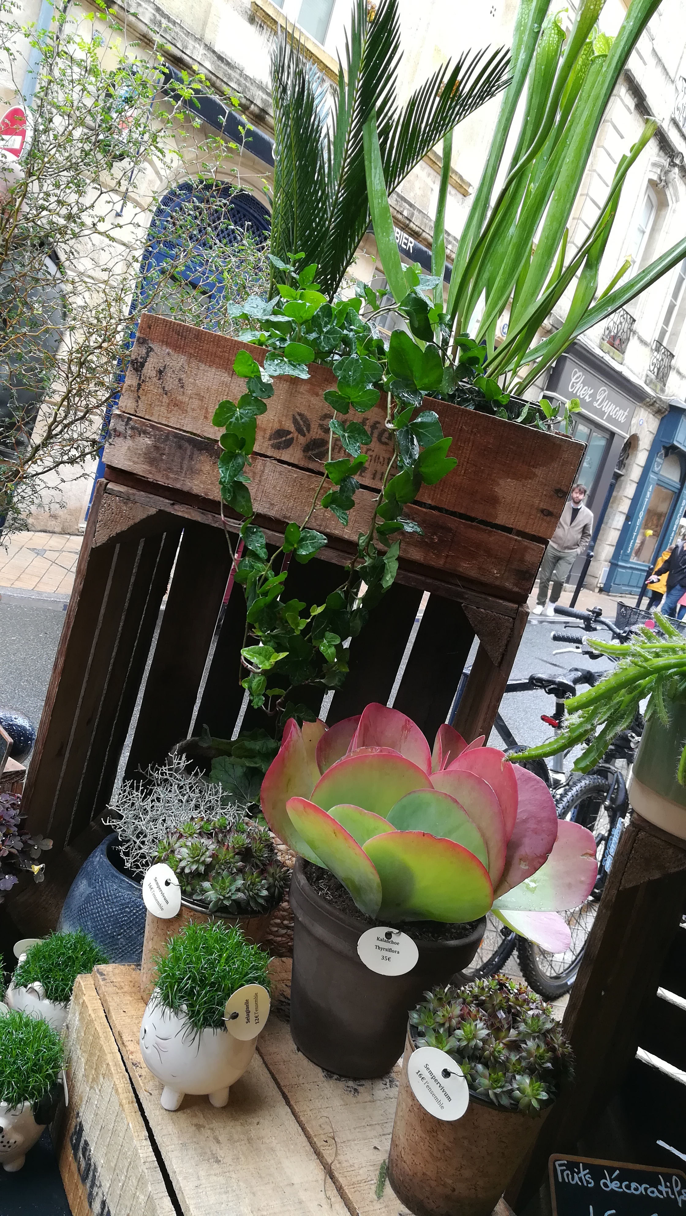 Photo n° 3 de l'avis de Isabelle. fait le 20/10/2019 à 16:58