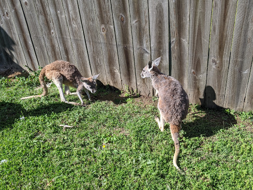 Tourist Attraction «Barn Hill Preserve», reviews and photos, 11370 LA-955, Ethel, LA 70730, USA