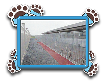 Pet Store «AA Ridgewood Kennels II», reviews and photos, 5401 Lincoln Hwy, Gap, PA 17527, USA