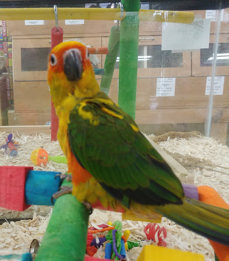 Pet Supply Store «Our Pet World», reviews and photos, 380 Semoran Commerce Pl, Apopka, FL 32703, USA