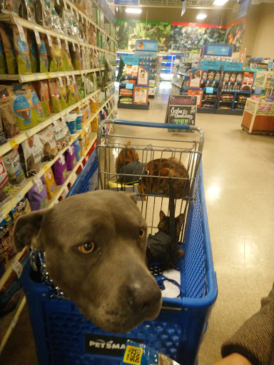 Pet Supply Store «PetSmart», reviews and photos, 12483 Limonite Ave, Mira Loma, CA 91752, USA