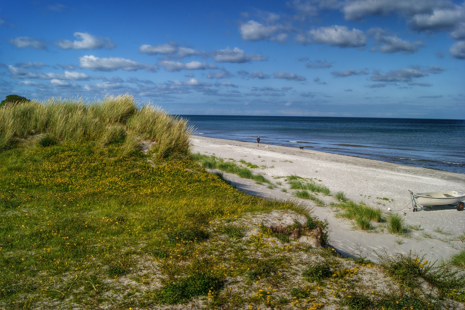 Foto av Lyngsa Beach med lång rak strand