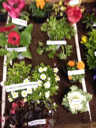 Recreation Center «Randolph Center», reviews and photos, 200 S Alvernon Way, Tucson, AZ 85711, USA