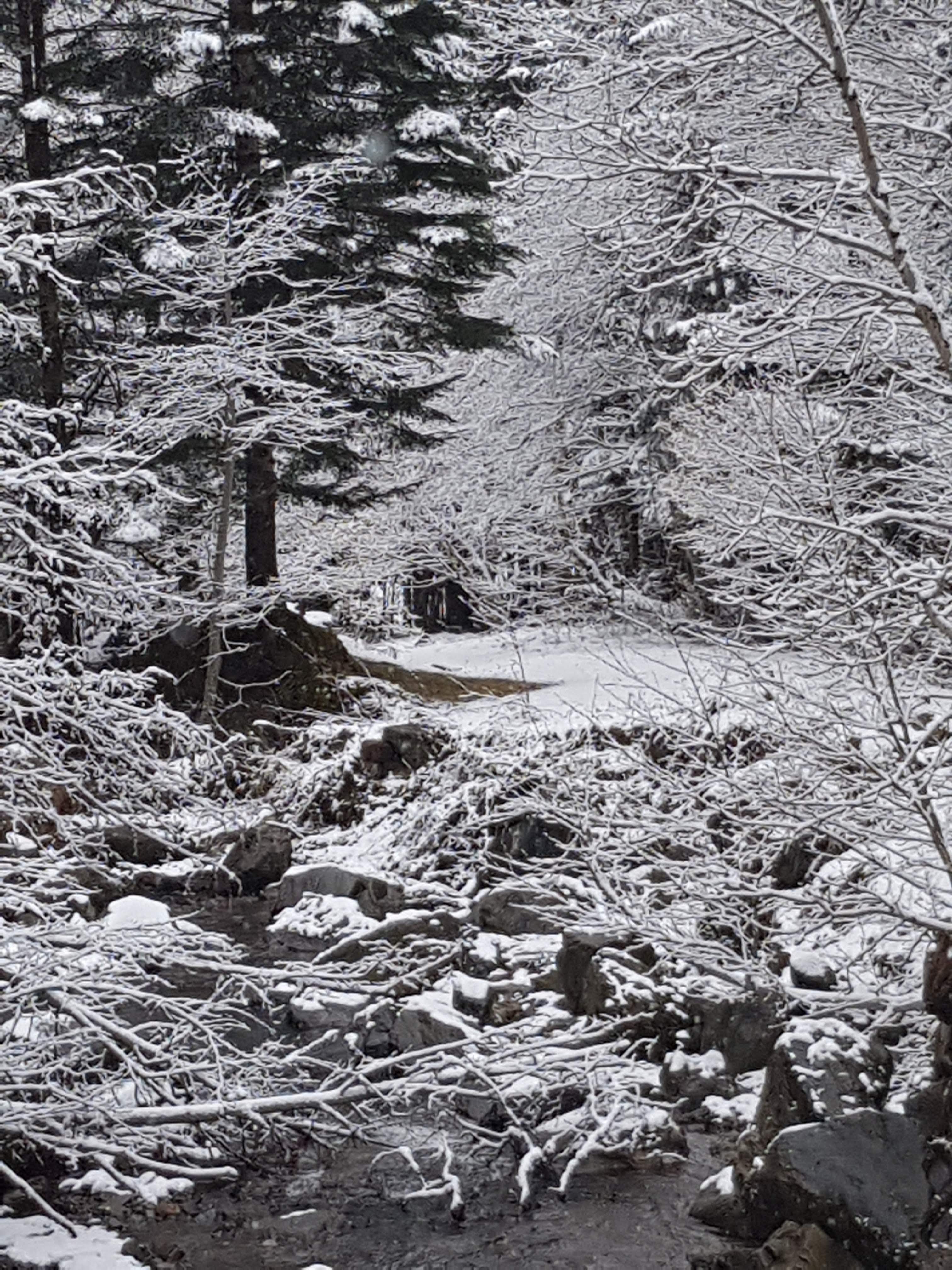 Photo n° 2 de l'avis de Stephane.e fait le 10/04/2019 à 11:03