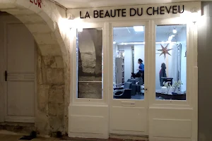 LA BEAUTE DU CHEVEU image