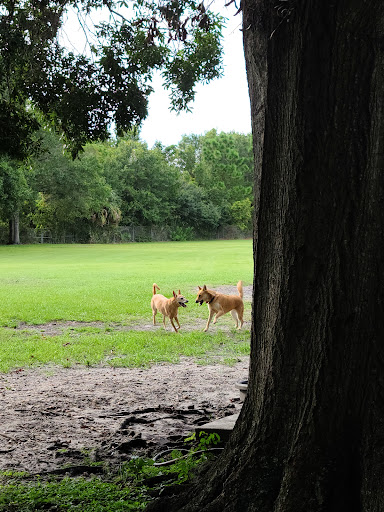 Dog Park «West Park», reviews and photos, 5812 N Occident St, Tampa, FL 33614, USA