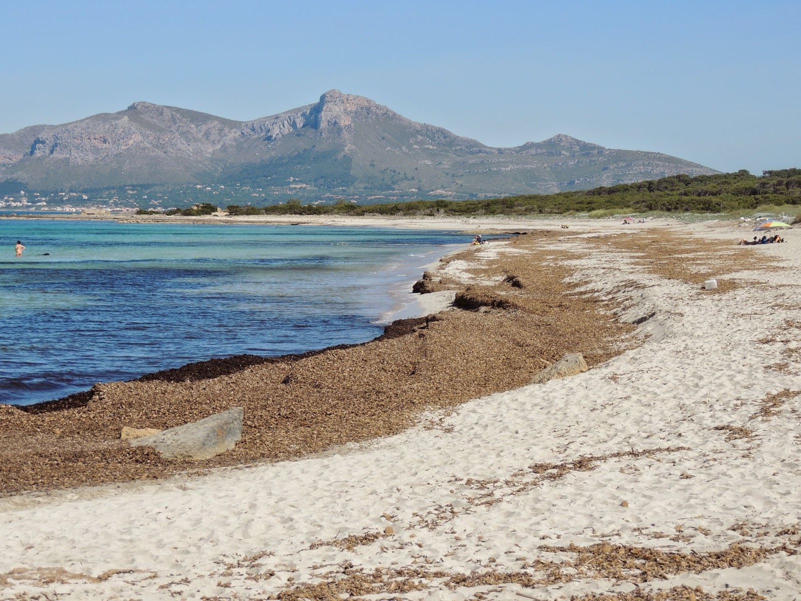 Platja de Son Real photo #7