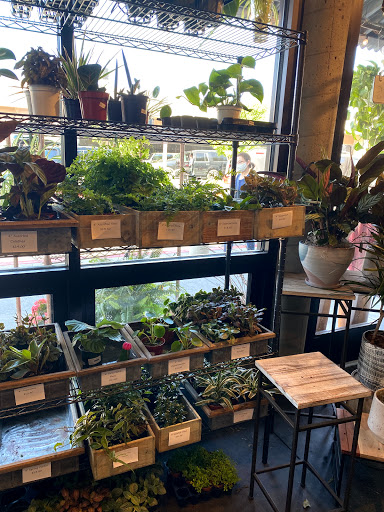 Florist «Blossoms Flower Shop», reviews and photos, 147 E Sailer Dr, San Mateo, CA 94403, USA