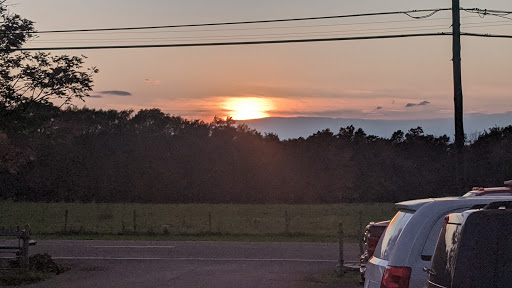 Golf Course «Turkey run golf course», reviews and photos, 11836 Bixby Hill Rd, Arcade, NY 14009, USA