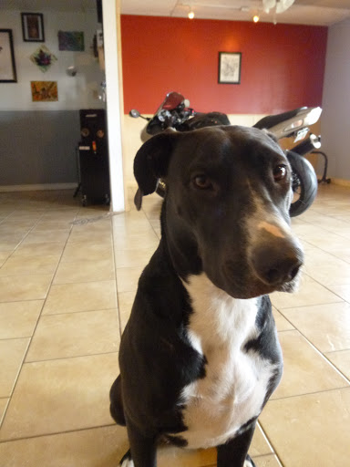 Tattoo Shop «magnum opus tattoo company», reviews and photos, 1817 Padre Blvd #4, South Padre Island, TX 78597, USA