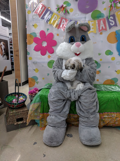 Shopping Mall «West Volusia Regional Shopping Center», reviews and photos, 2689 S Woodland Blvd, DeLand, FL 32720, USA