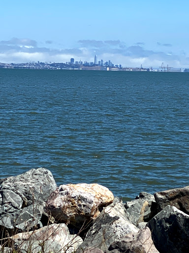 Sporting Goods Store «Boardsports California», reviews and photos, 1603 Coyote Point Dr, San Mateo, CA 94401, USA