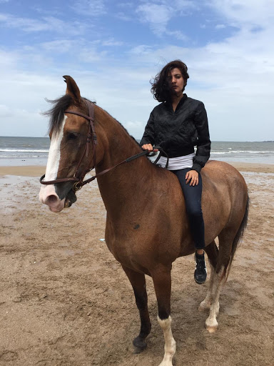 Horse Riding Classes ~by Jeetu Verma