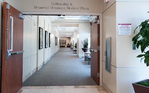 Memorial Hermann-Texas Medical Center image