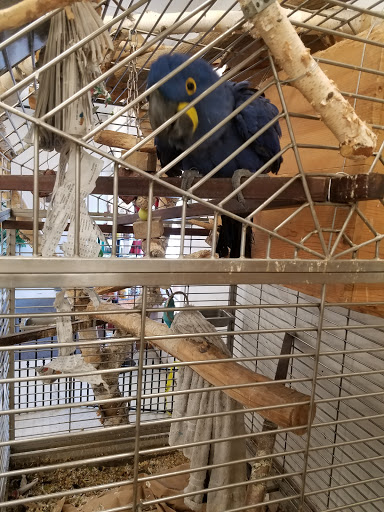Pet Store «Critter Mart & More», reviews and photos, 3 10th St NW, Watertown, SD 57201, USA