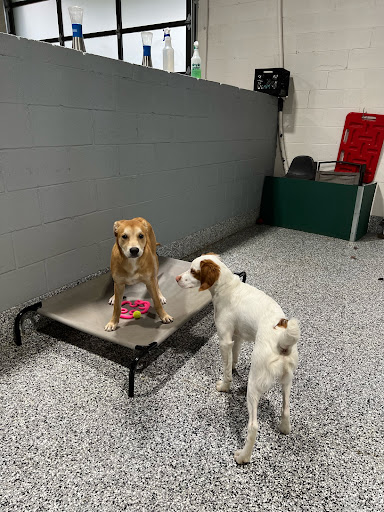 The Dallas Dog Palace