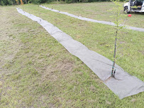 Old American Landscape and Property Management - Photo 6 - Car repair in , Winter Haven