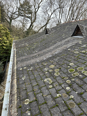 Artilegrain couvreur demoussage nettoyage façade peinture intérieur extérieur Angers brain sur l’authion à Loire-Authion