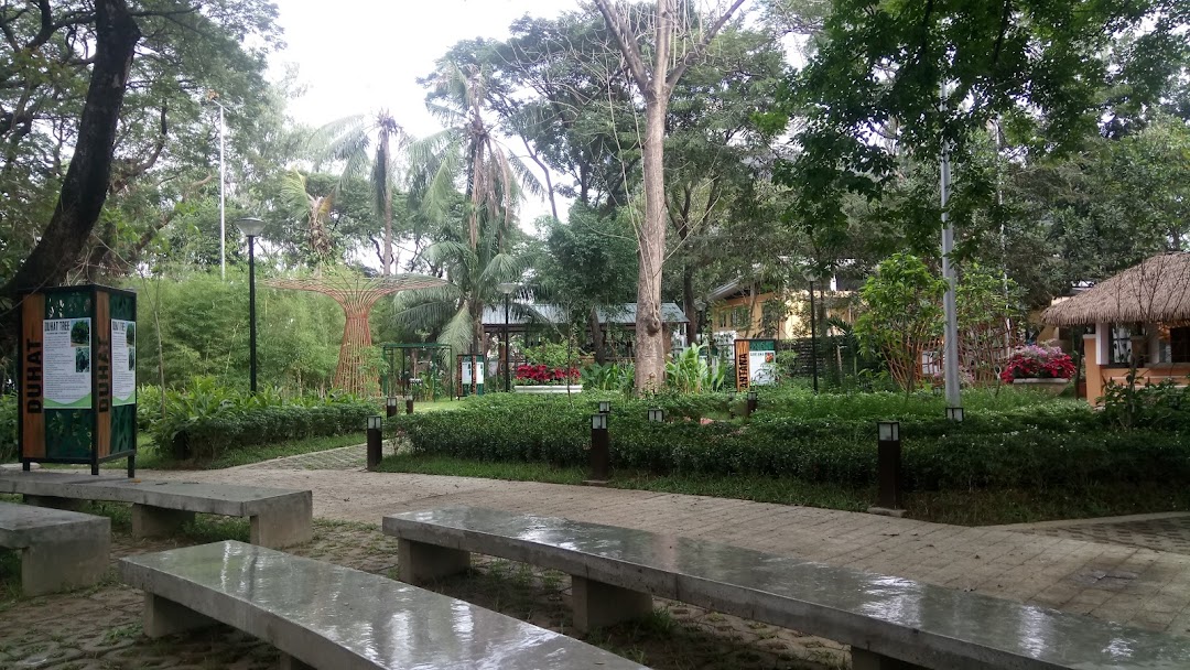 Quezon City Parks Department Plant Nursery