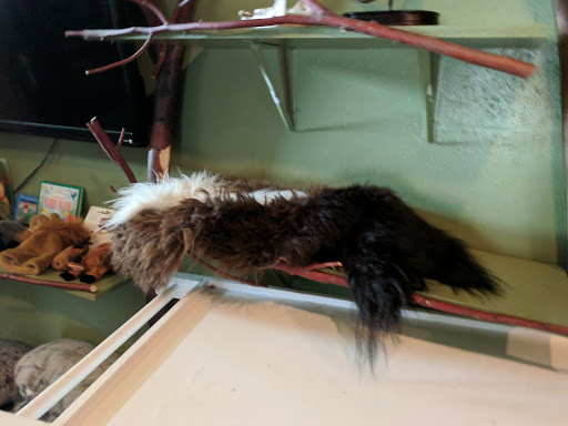 Zoo «Red River Zoo», reviews and photos, 4255 23rd Ave S, Fargo, ND 58104, USA