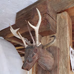 Photo n°5 de l'avis de Serena.i fait le 02/09/2021 à 14:55 sur le  Ütia de Pecol à San Martin de Tor