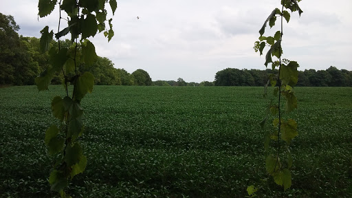 Nature Preserve «DeVries Nature Conservancy», reviews and photos, 2635 N Michigan 52, Owosso, MI 48867, USA