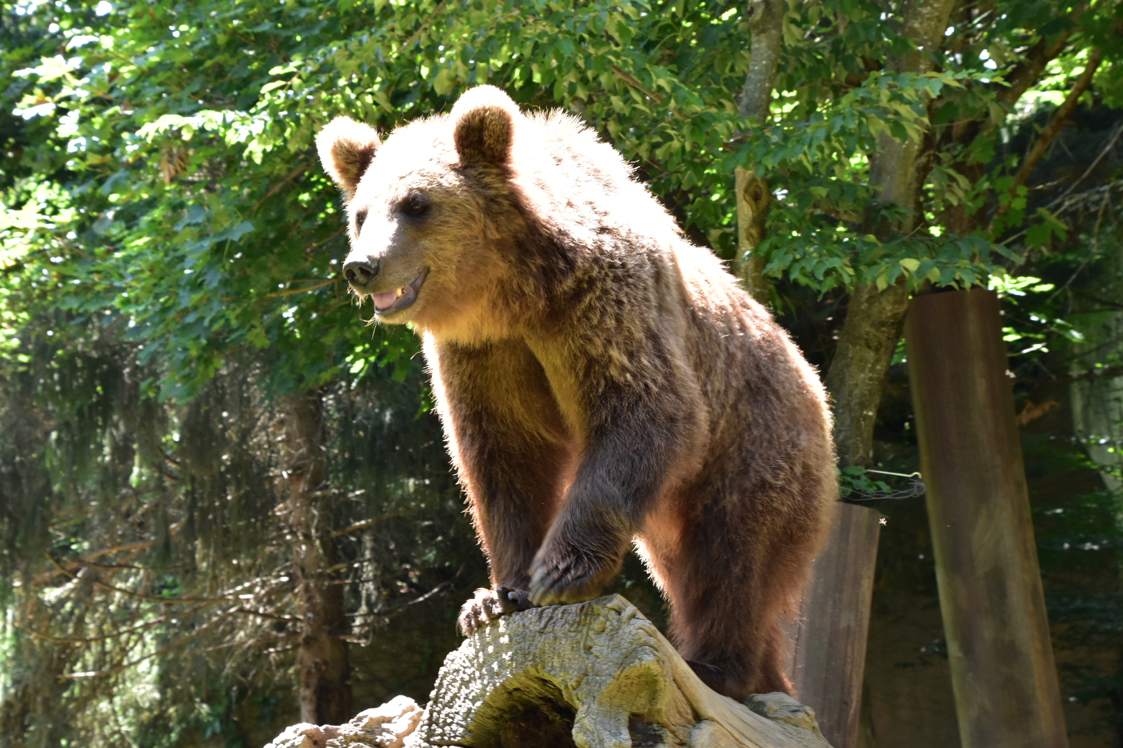 Photo n° 1 de l'avis de Marine.r fait le 05/07/2021 à 20:49