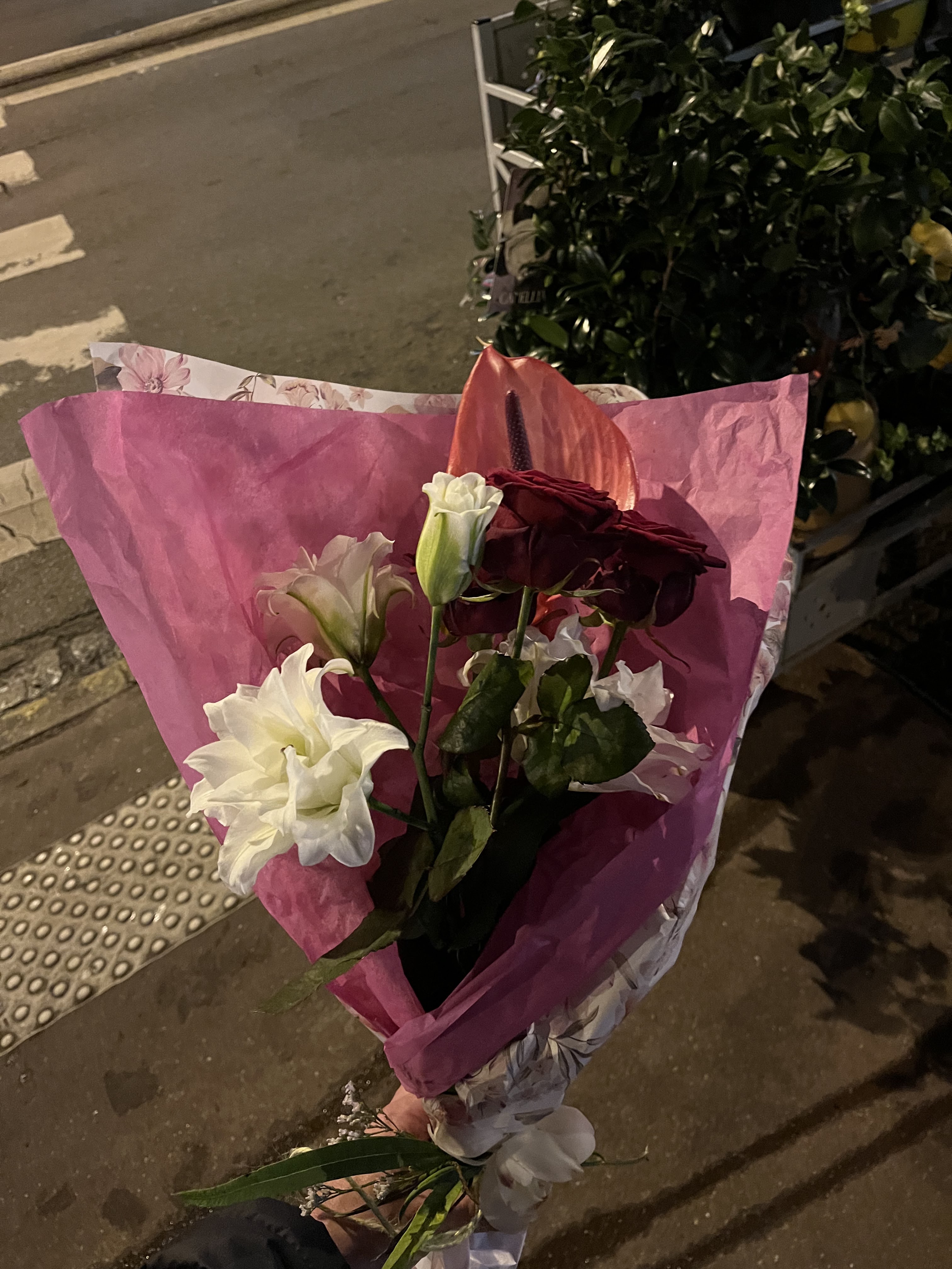 Photo n° 1 de l'avis de Valentin.. fait le 14/02/2024 à 19:22
