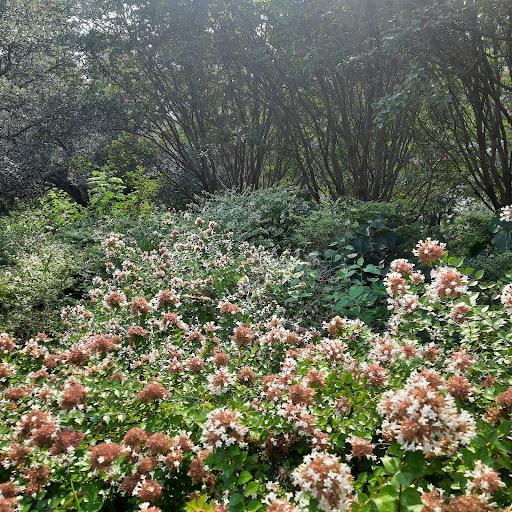 Park «Belo Garden», reviews and photos, 14 Main St & Griffin St. & Commerce St., Houston, TX 77002, USA