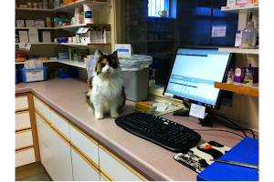 Ashlea Veterinary Centre image