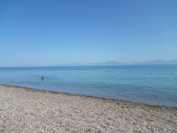 Paralia Alissou'in fotoğrafı imkanlar alanı